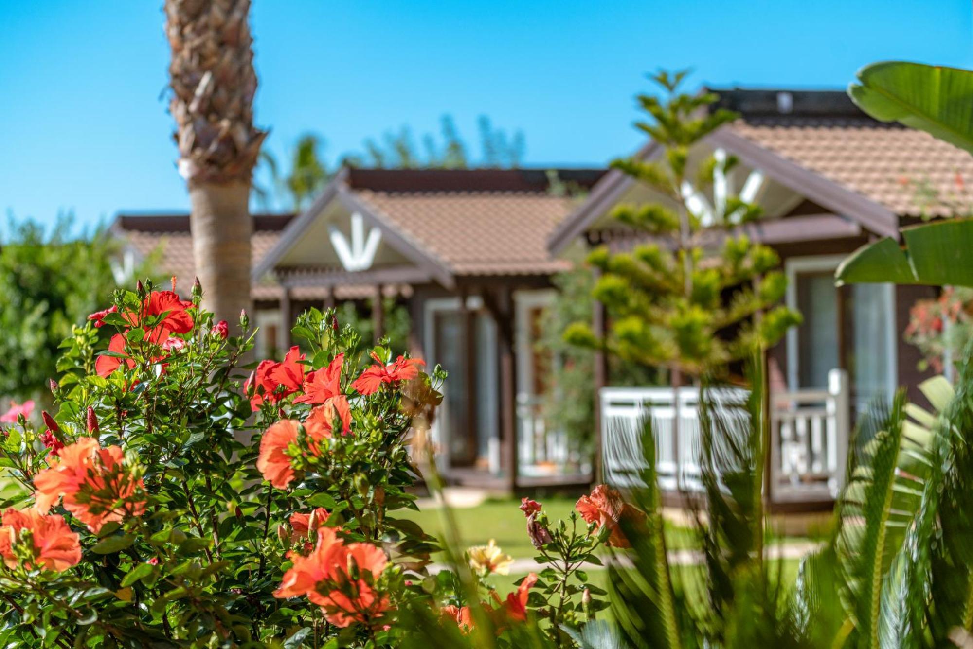 Sedir Park - Beach Bungalow Kargicak  Exteriér fotografie