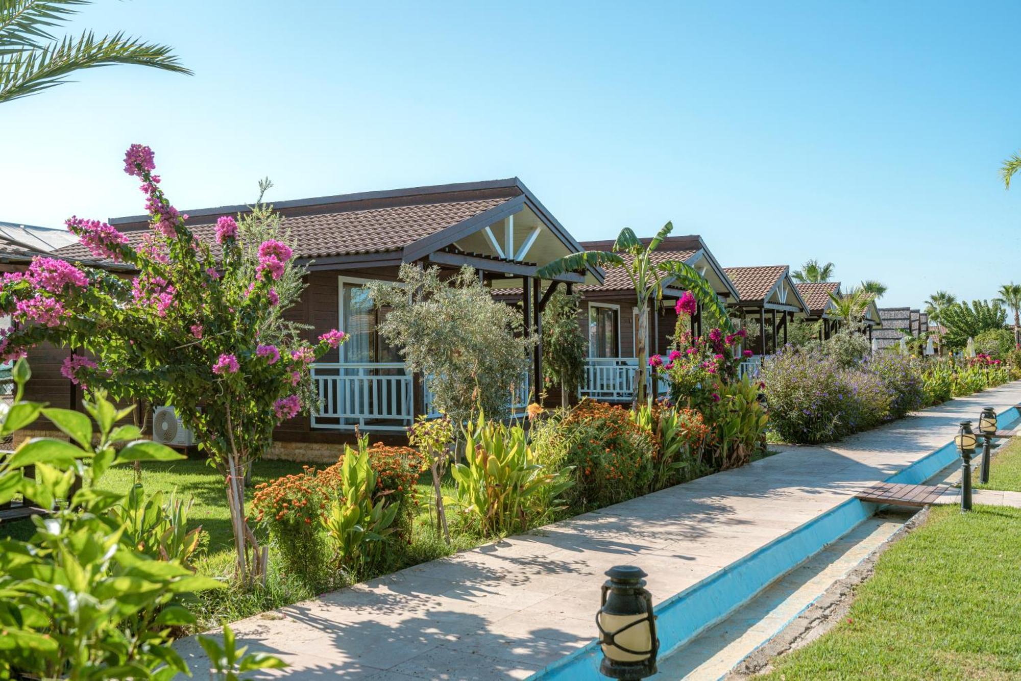 Sedir Park - Beach Bungalow Kargicak  Exteriér fotografie