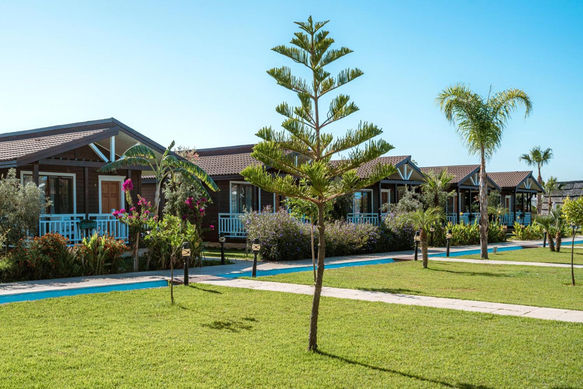 Sedir Park - Beach Bungalow Kargicak  Exteriér fotografie